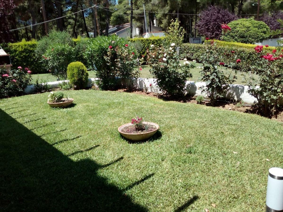 Sani Residence Villa Kültér fotó